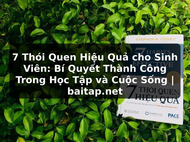 7 Thói Quen Hiệu Quả cho Sinh Viên: Bí Quyết Thành Công Trong Học Tập và Cuộc Sống | baitap.net