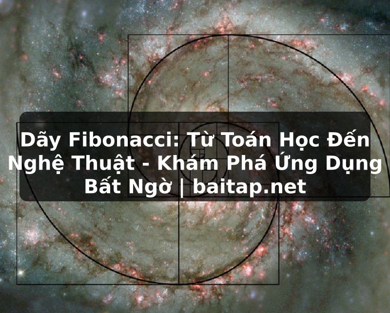 Dãy Fibonacci: Từ Toán Học Đến Nghệ Thuật - Khám Phá Ứng Dụng Bất Ngờ | baitap.net