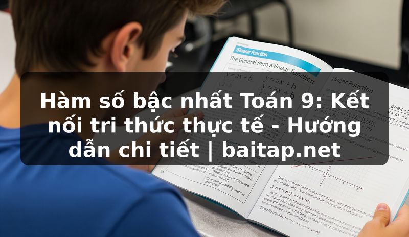 Hàm số bậc nhất Toán 9: Kết nối tri thức thực tế - Hướng dẫn chi tiết | baitap.net