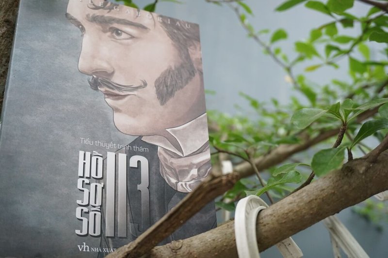ho-so-so-113-khi-tinh-yeu-dang-do-bi-loi-dung-phan-tich-tam-ly-nhan-vat-chu-de-baitap-net-13-4