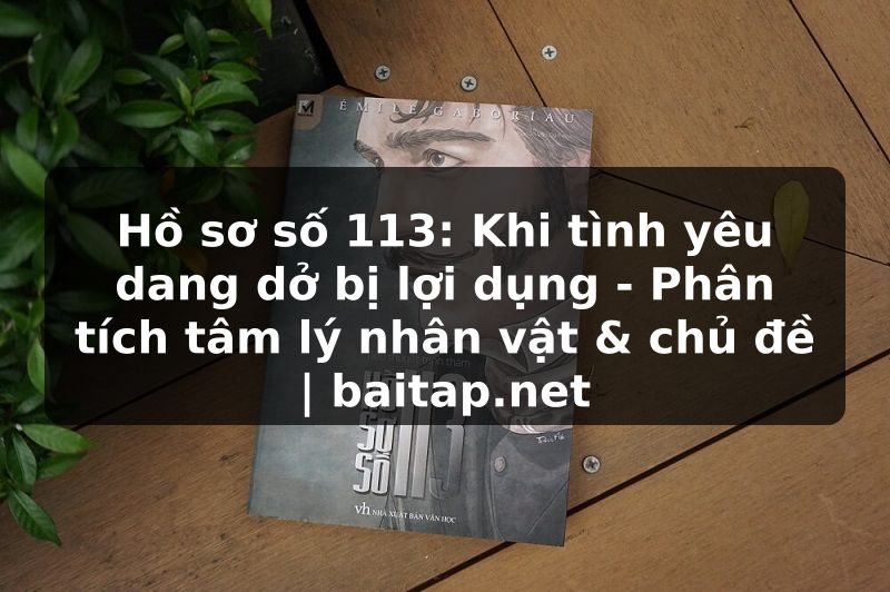 Hồ sơ số 113: Khi tình yêu dang dở bị lợi dụng - Phân tích tâm lý nhân vật & chủ đề | baitap.net