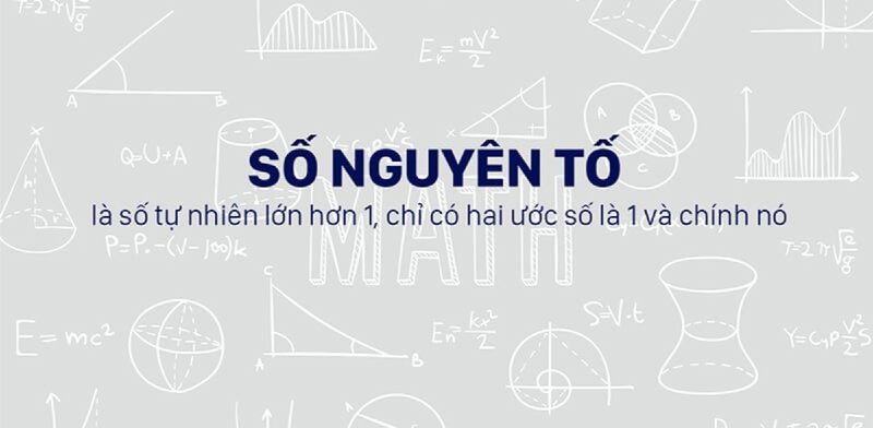 so-nguyen-to-kham-pha-bi-mat-toan-hoc-va-ung-dung-bat-ngo-baitap-net-12-1