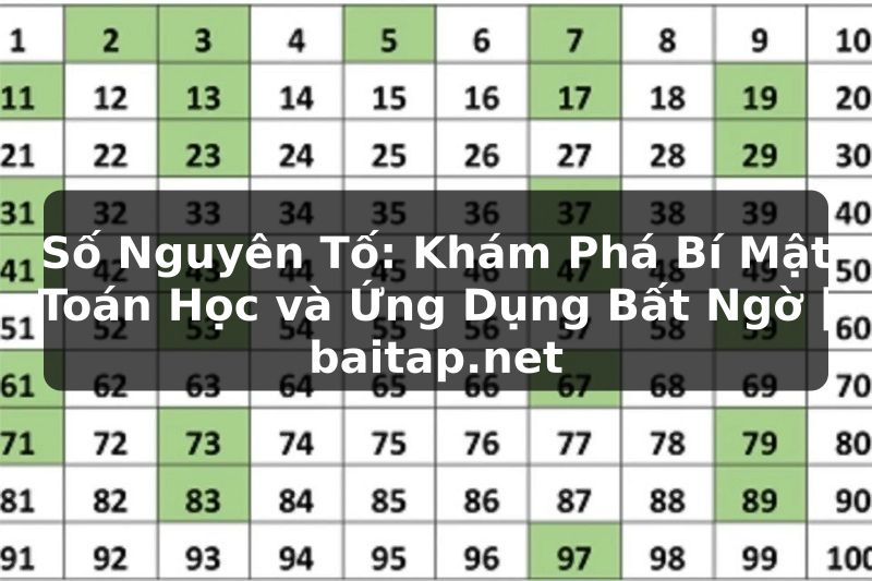 Số Nguyên Tố: Khám Phá Bí Mật Toán Học và Ứng Dụng Bất Ngờ | baitap.net