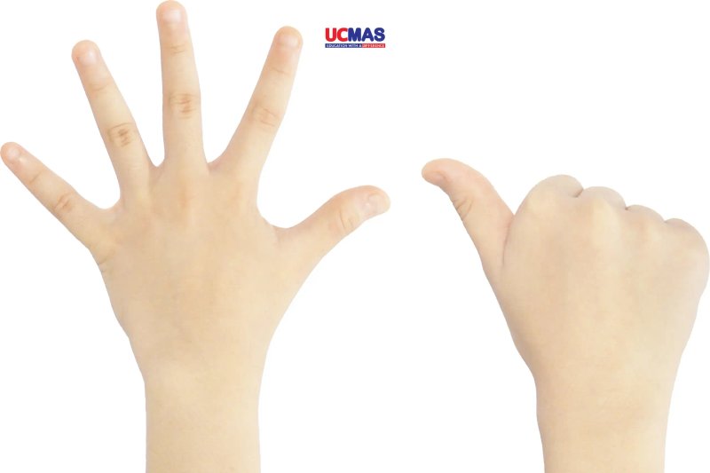 ucmas-finger-math-soroban-phan-tich-triet-ly-va-hieu-qua-phat-trien-tu-duy-baitap-net-14-2